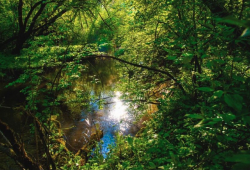 �arovn� V�h - Biely V�h 
