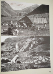 pasenie oviec Zpadn Tatry 