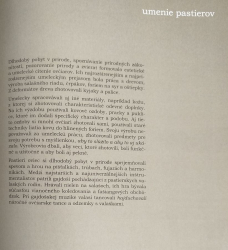 pastieri - umelcami 